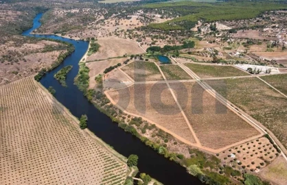 Quinta para Venda em Cabeção