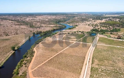 Quinta para Venda em Cabeção