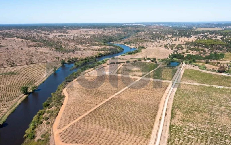 Quinta para Venda em Cabeção Foto 10