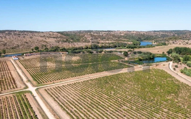 Quinta para Venda em Cabeção Foto 11