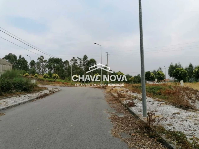 Terreno P/ Prédio para Venda em Fajões Foto 4