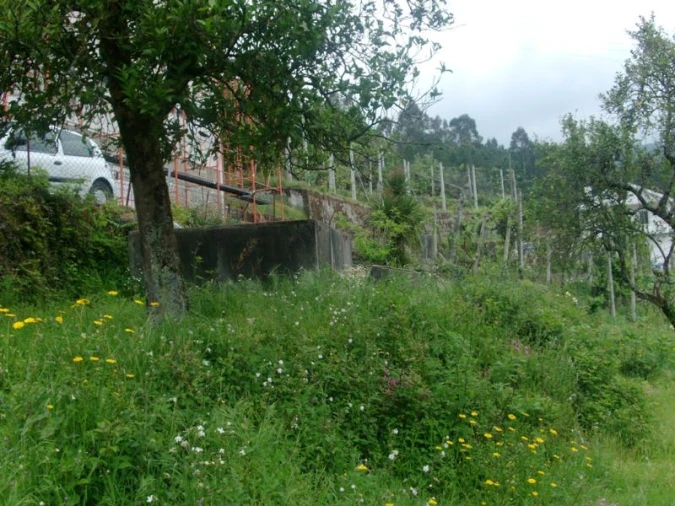 Terreno para Venda em Esperança e Brunhais Foto 8