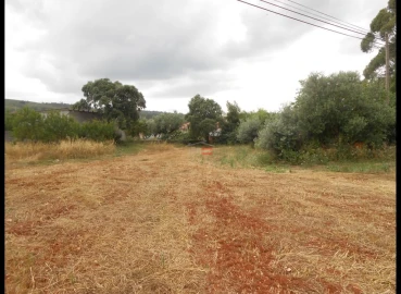 Moradia T6 para Venda em Nossa Senhora das Misericordias