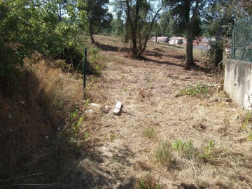 Terreno Agricola ou Rústico para Venda em Eiras e São Paulo de Frades