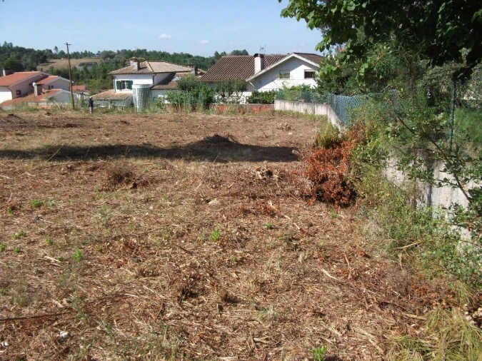 Terreno Agricola ou Rústico para Venda em Eiras e São Paulo de Frades Foto 6