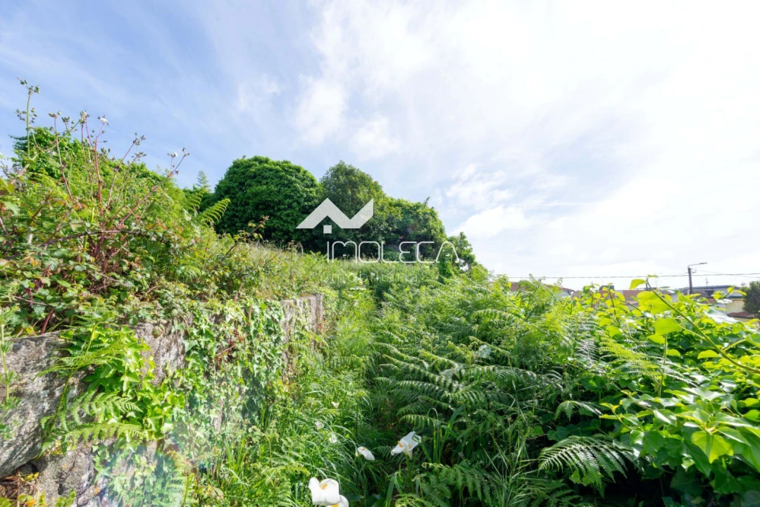 Terreno para Venda em Perafita, Lavra e Santa Cruz do Bispo Foto 3