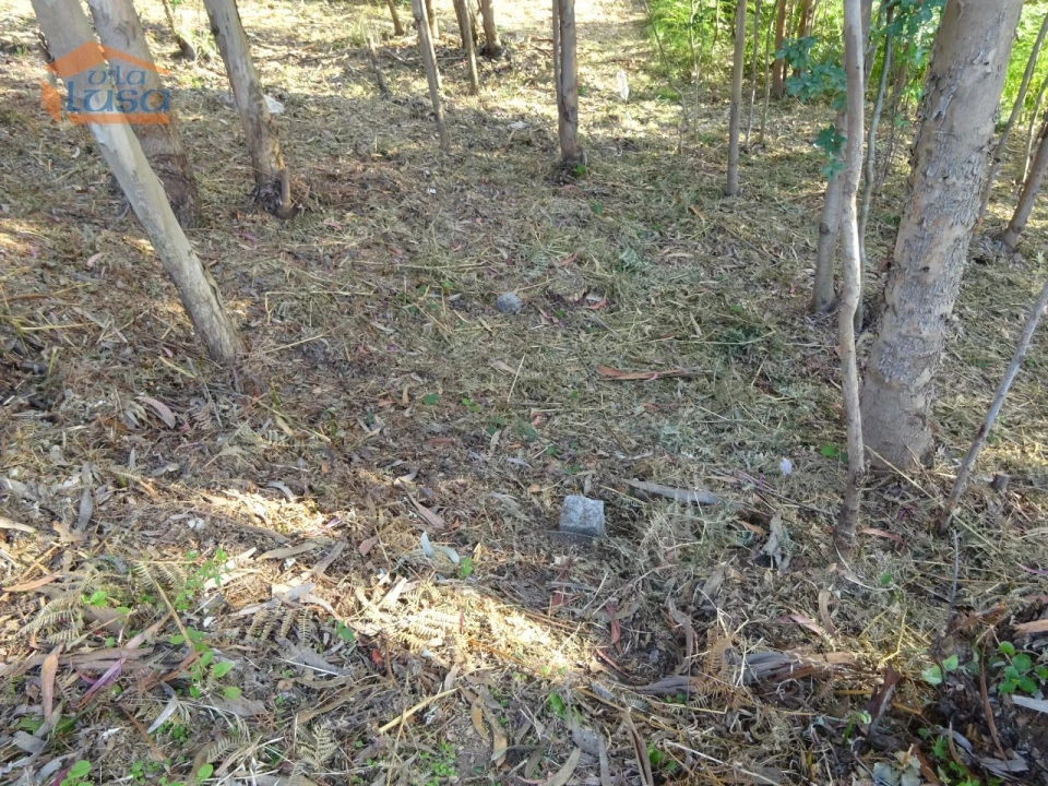 Terreno para Venda em Pedroso e Seixezelo Foto 1