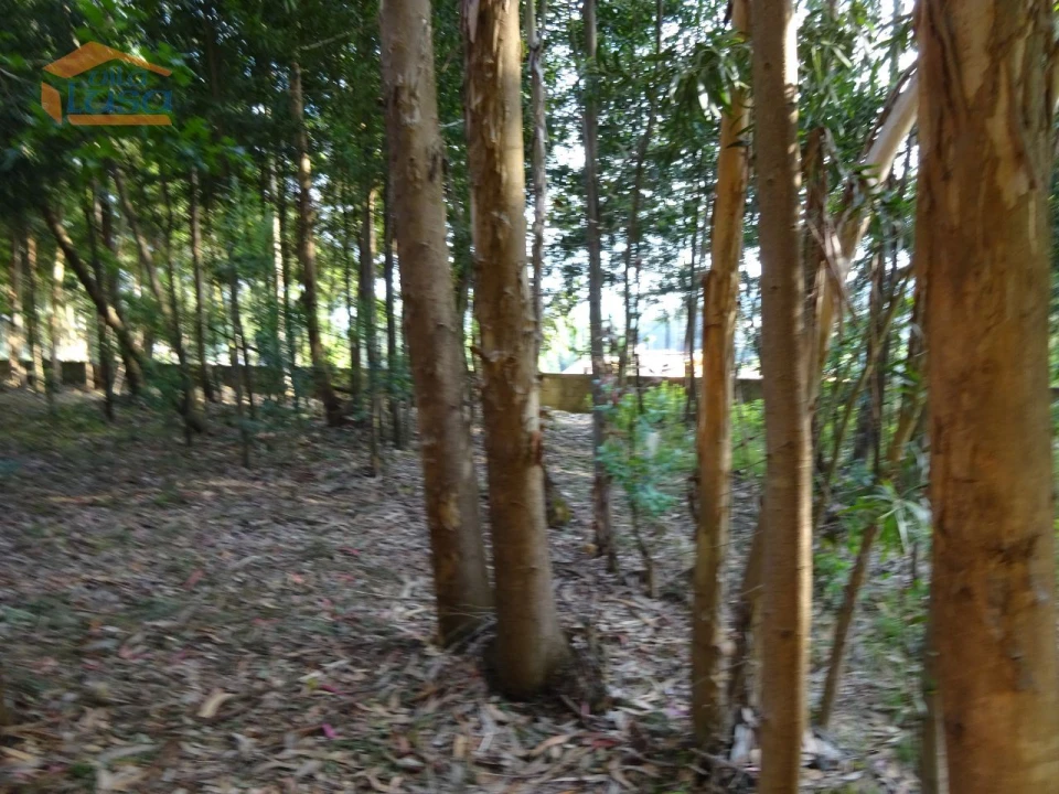 Terreno para Venda em Pedroso e Seixezelo Foto 19