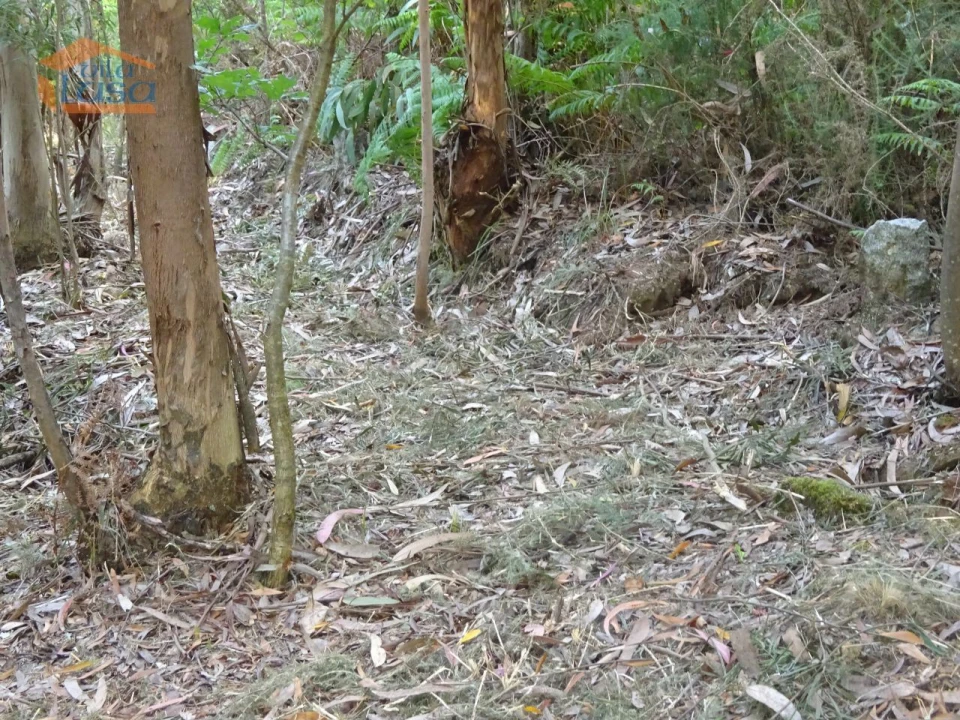Terreno para Venda em Pedroso e Seixezelo Foto 26