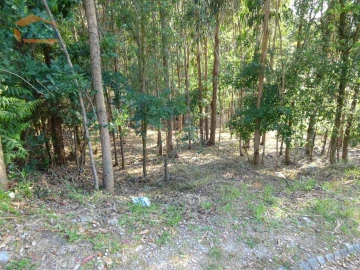 Terreno para Venda em Pedroso e Seixezelo