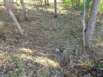 Terreno para Venda em Pedroso e Seixezelo