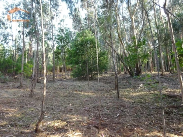 Terreno para Venda em Pedroso e Seixezelo