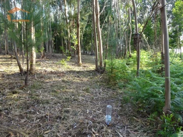 Terreno para Venda em Pedroso e Seixezelo