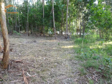 Terreno para Venda em Pedroso e Seixezelo