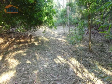 Terreno para Venda em Pedroso e Seixezelo