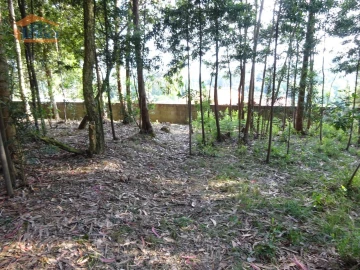 Terreno para Venda em Pedroso e Seixezelo