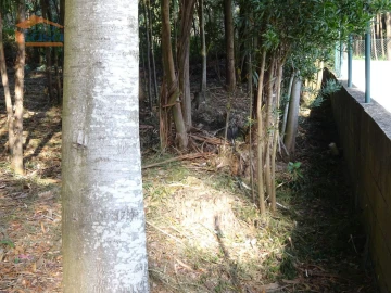 Terreno para Venda em Pedroso e Seixezelo