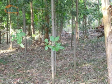 Terreno para Venda em Pedroso e Seixezelo