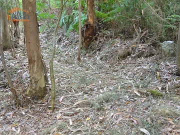 Terreno para Venda em Pedroso e Seixezelo
