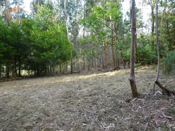 Terreno para Venda em Pedroso e Seixezelo