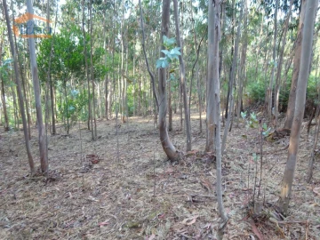Terreno para Venda em Pedroso e Seixezelo