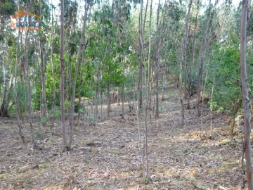 Terreno para Venda em Pedroso e Seixezelo