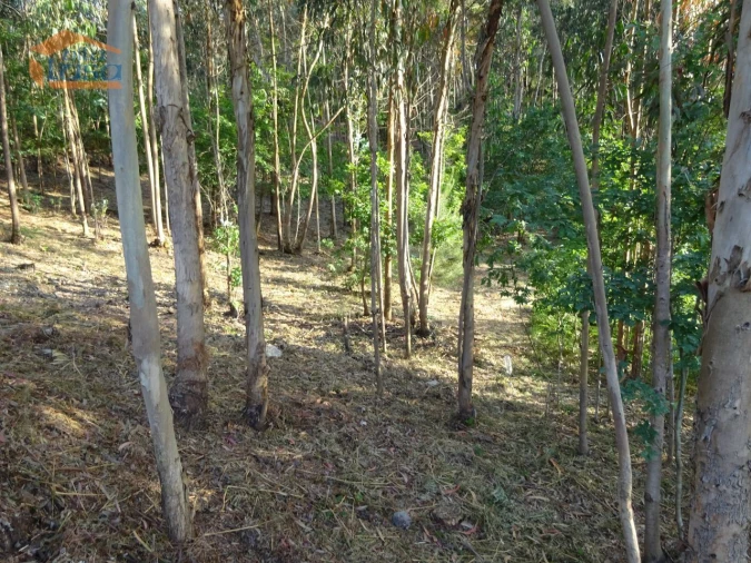 Terreno para Venda em Pedroso e Seixezelo Foto 9