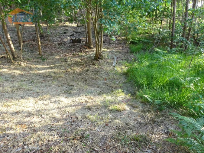 Terreno para Venda em Pedroso e Seixezelo Foto 11