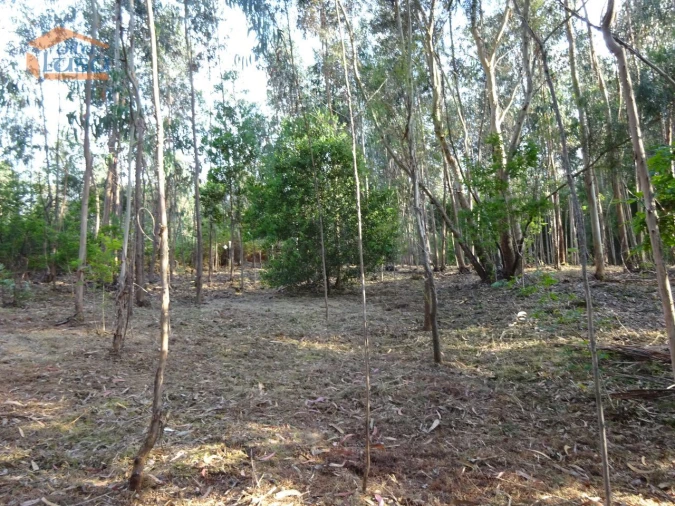 Terreno para Venda em Pedroso e Seixezelo Foto 13