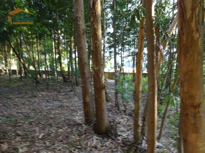 Terreno para Venda em Pedroso e Seixezelo Foto 19