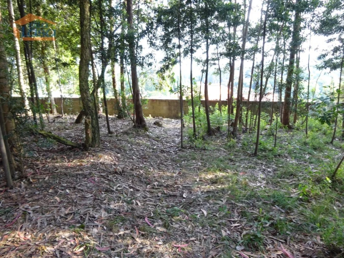 Terreno para Venda em Pedroso e Seixezelo Foto 20