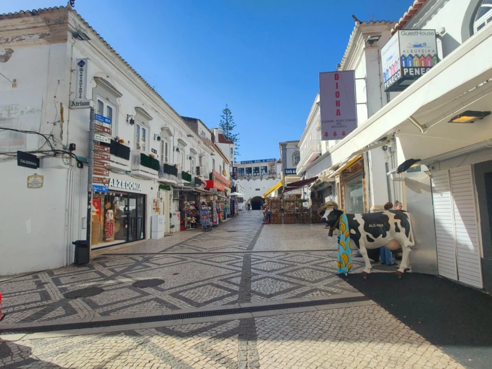 Negócio para Venda em Albufeira e Olhos de Água Foto 3