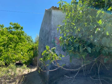 Quinta T2 para Venda em Santa Maria da Devesa