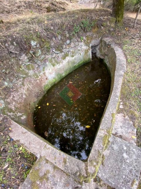 Quinta T2 para Venda em Santa Maria da Devesa
