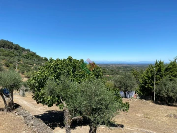 Quinta T2 para Venda em Santa Maria da Devesa