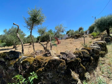 Quinta T2 para Venda em Santa Maria da Devesa
