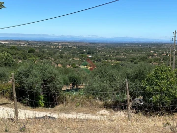 Quinta T2 para Venda em Santa Maria da Devesa