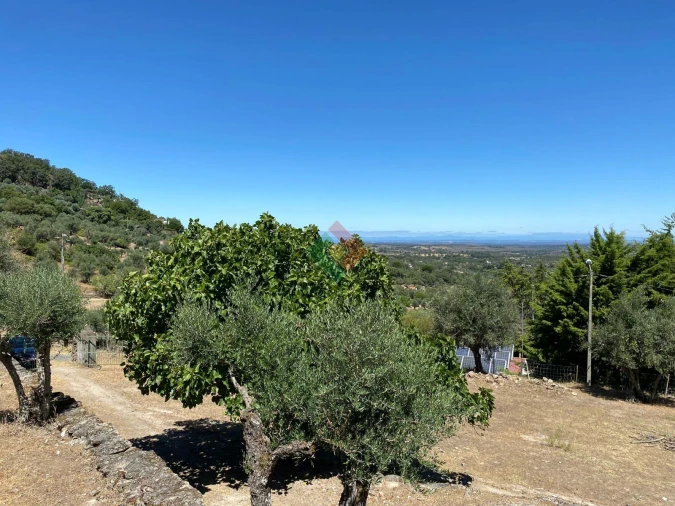 Quinta T2 para Venda em Santa Maria da Devesa Foto 6