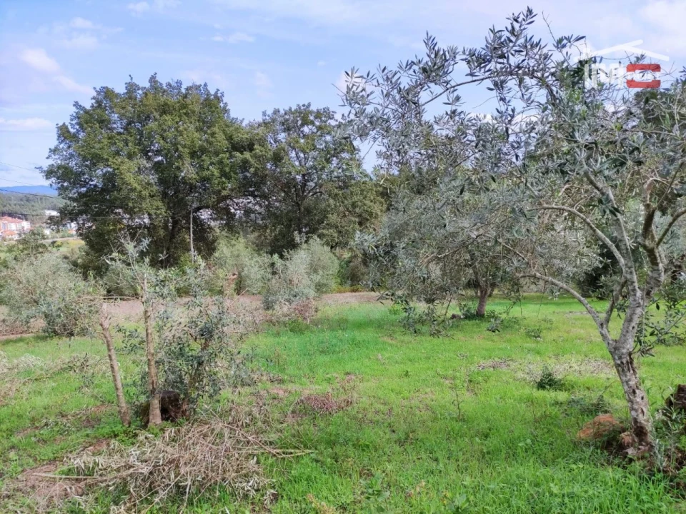 Terreno Agricola ou Rústico para Venda em Seiça Foto 2