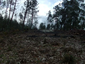 Terreno para Venda em Anissó e Soutelo