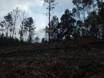 Terreno para Venda em Anissó e Soutelo