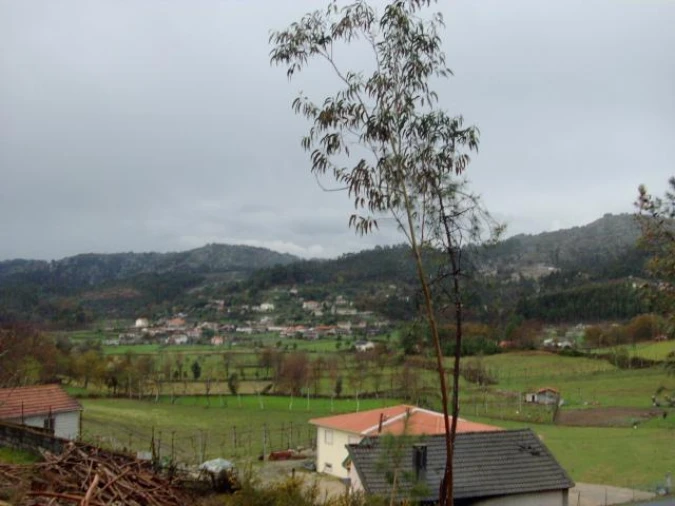 Terreno para Venda em Anissó e Soutelo Foto 2