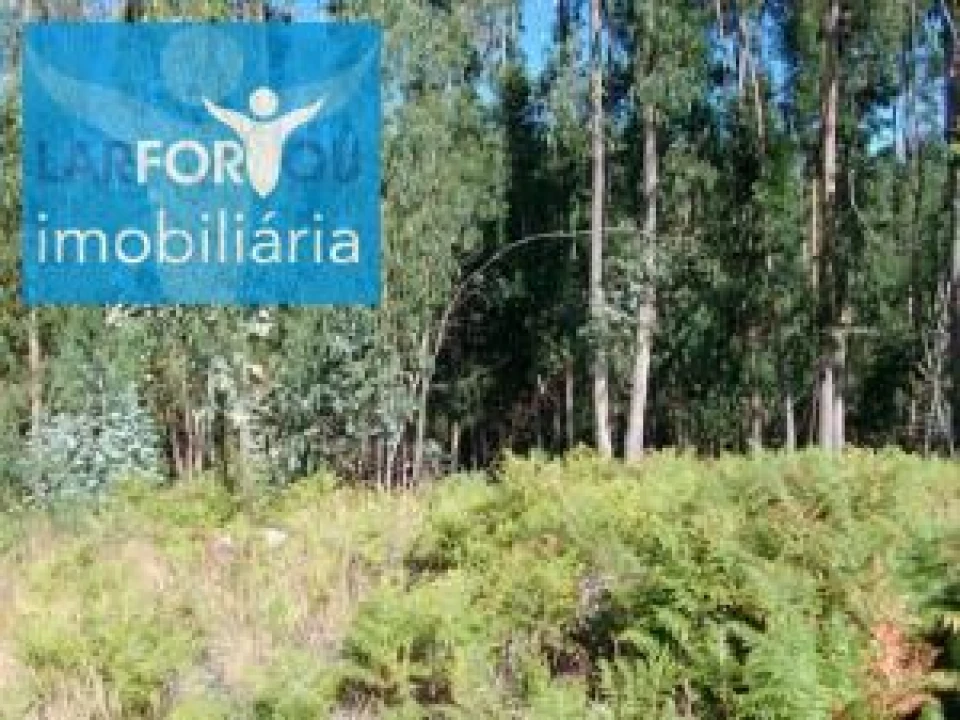 Terreno Agricola ou Rústico para Venda em Esperança e Brunhais Foto 1