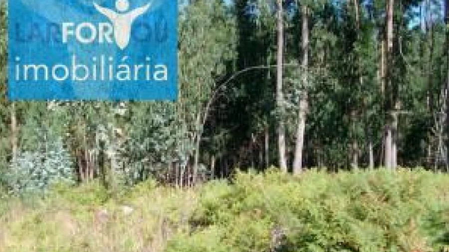 Terreno Agricola ou Rústico para Venda em Esperança e Brunhais