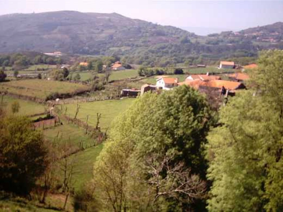 Quinta T0 para Venda em Aboim da Nóbrega e Gondomar Foto 4