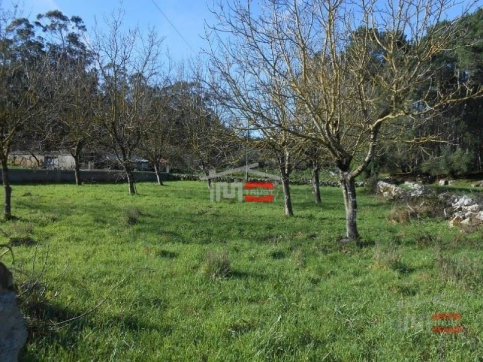 Terreno Misto para Venda em Fatima Foto 7