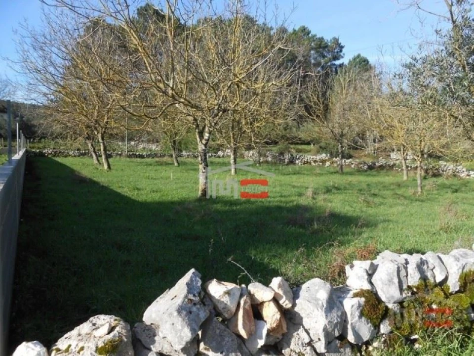 Terreno Misto para Venda em Fatima Foto 9