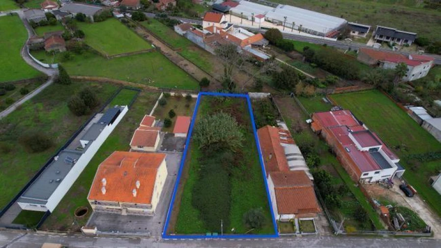 Terreno Agricola ou Rústico para Venda em São Lourenço do Bairro Foto 2