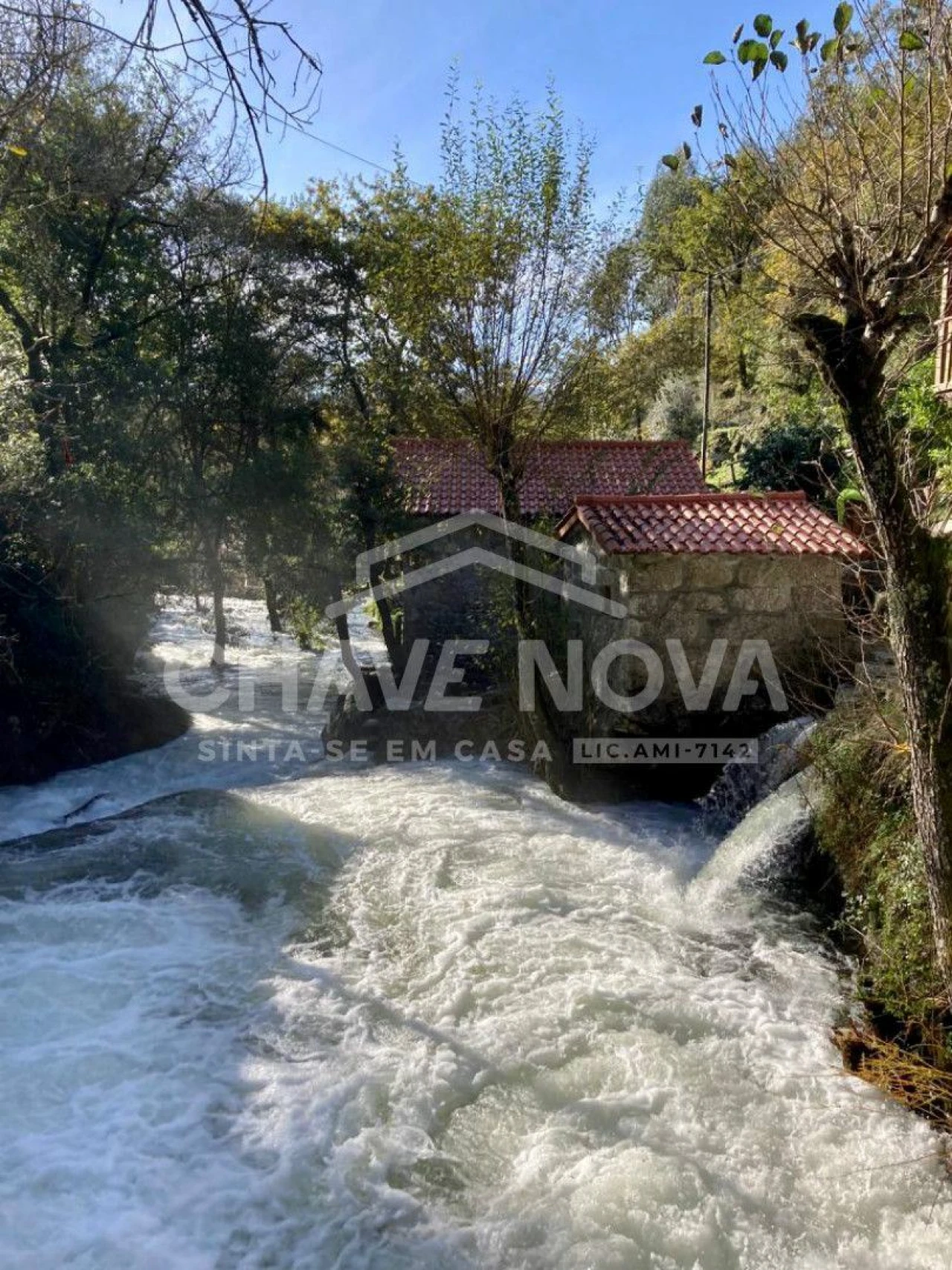 Quinta T4 para Venda em Travassos Foto 15