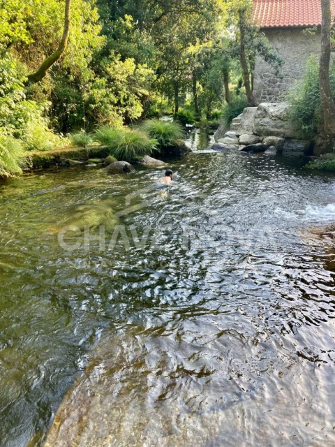 Quinta T4 para Venda em Travassos